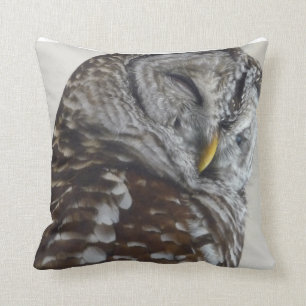 Kissen für den Schrott