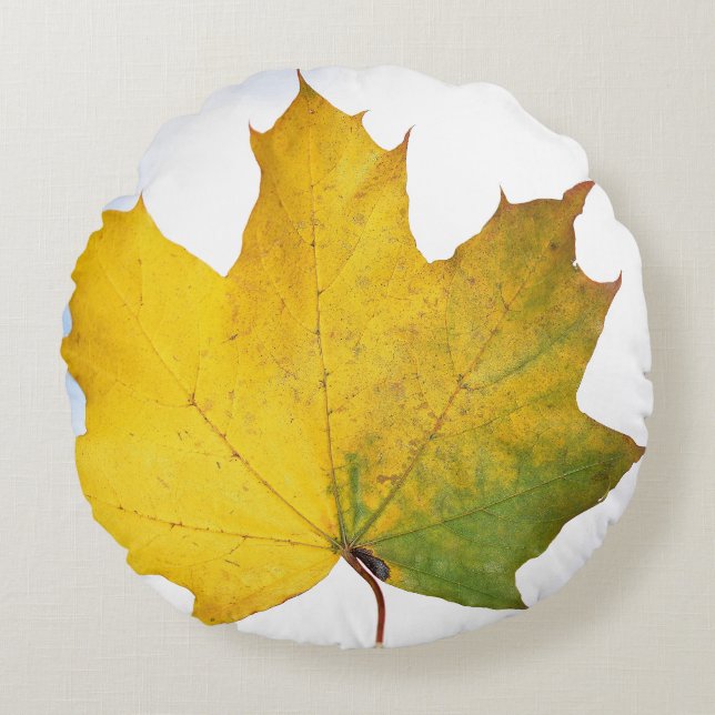 Kissen für jedes Zimmer (Vorderseite)