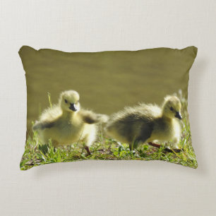Kissen für Wildtiere, Baby Goslings, Kanadische Gä