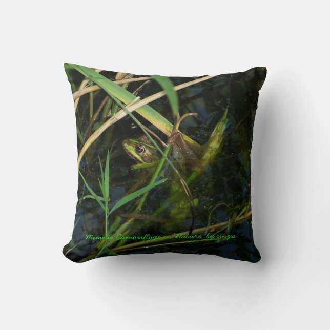 Kissen (grün) mit mimetischem Frosch (Vorderseite)