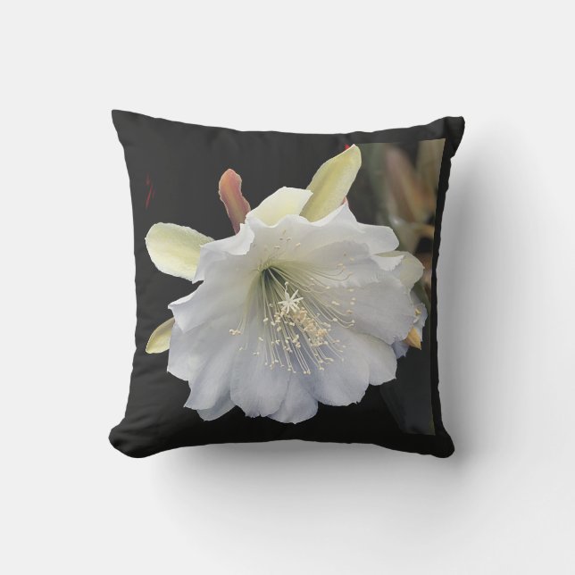 Kissen im Freien 16 x 16 (Vorderseite)