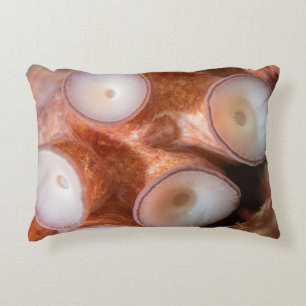 Kissen im Freien mit Tentakeln