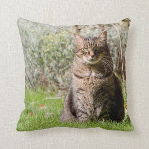 Kissen - Katze - zwei Bilder - 01