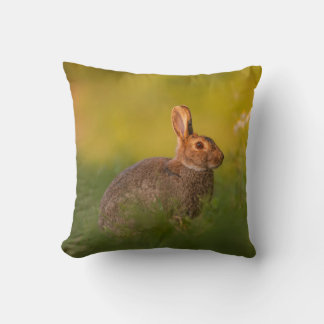 Kissen mit Kaninchen im Abendlicht