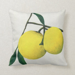 Kissen mit Kunstmotiv Zitronen - Zierkissen