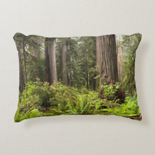 Kissen mit Redwoods Trees