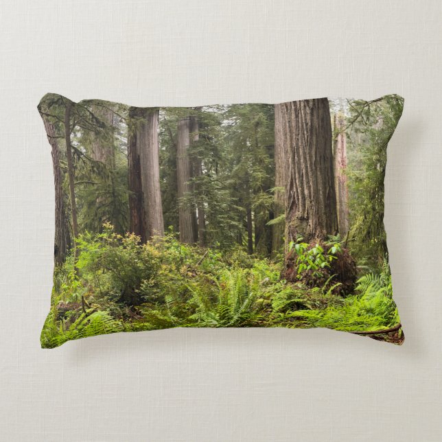 Kissen mit Redwoods Trees (Vorderseite)