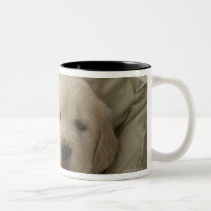 Kissen um Hund Zweifarbige Tasse