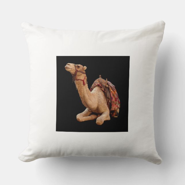 Kissen und Poufs (Vorderseite)