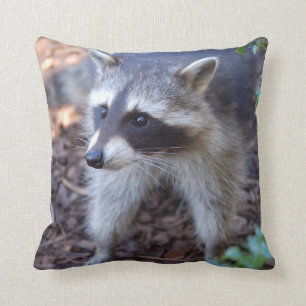 Kissen Waschbär Racoon