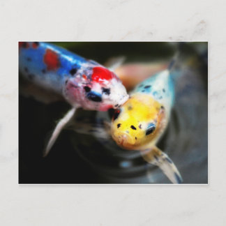 Kissenfisch Postkarte