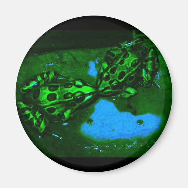 Kissenfrosch Magnet (Vorne)