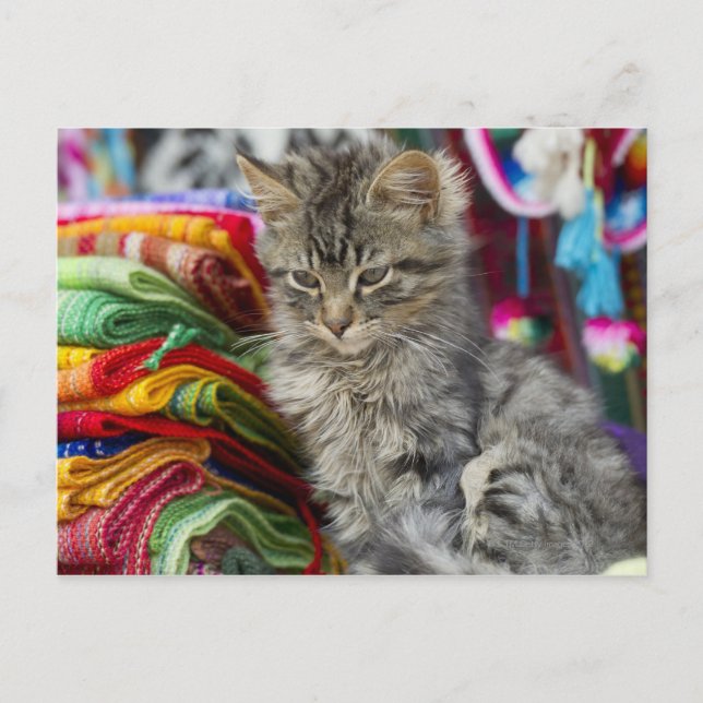 Kissenperu Postkarte (Vorderseite)