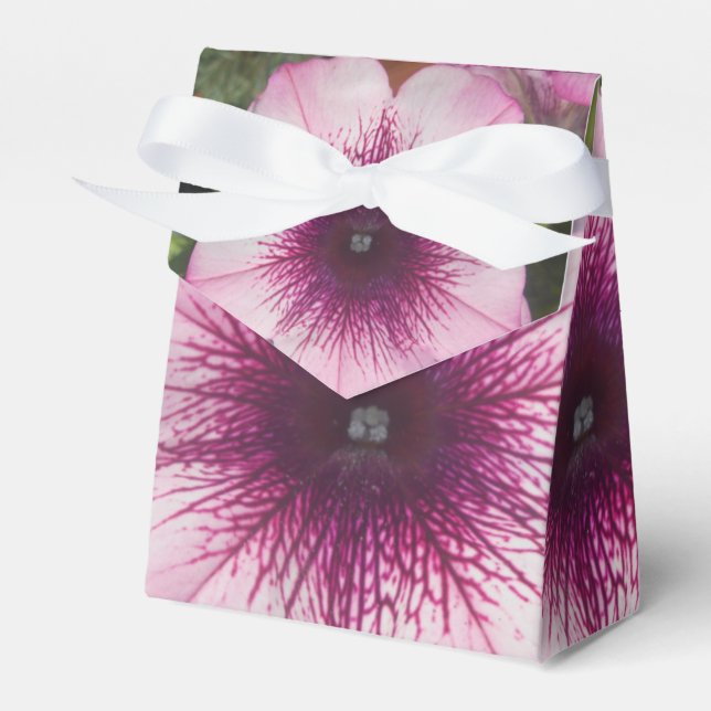 Kisses Geschenkschachtel (Vorderseite)
