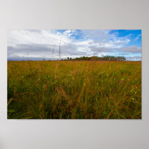 Kissimmee Prairie Preserve Staat Park, Florida Poster