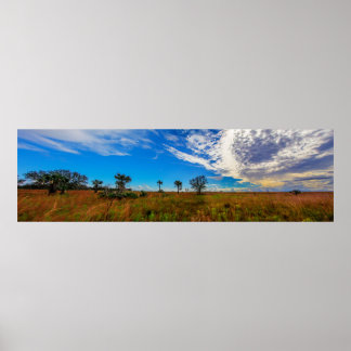 Kissimmee Prairie Preserve State Park, Florida Poster