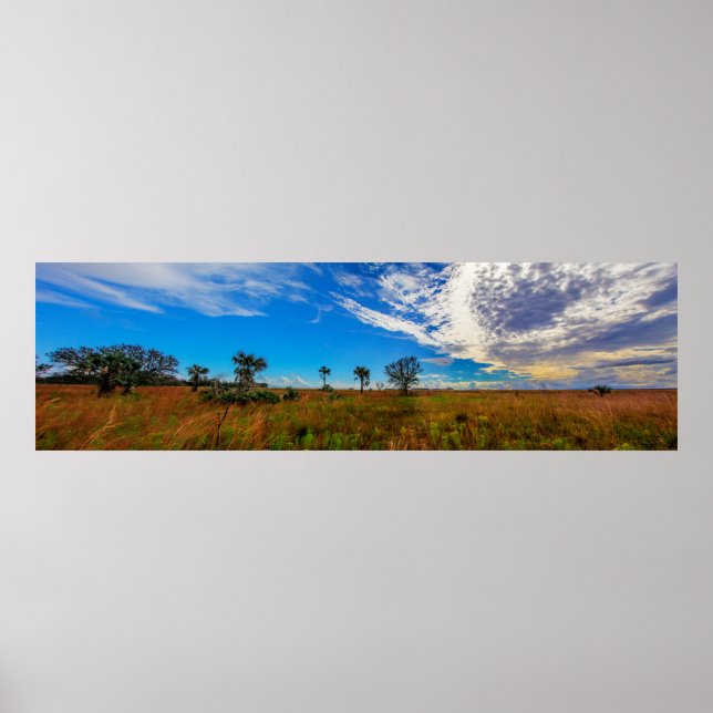 Kissimmee Prairie Preserve State Park, Florida Poster (Vorne)