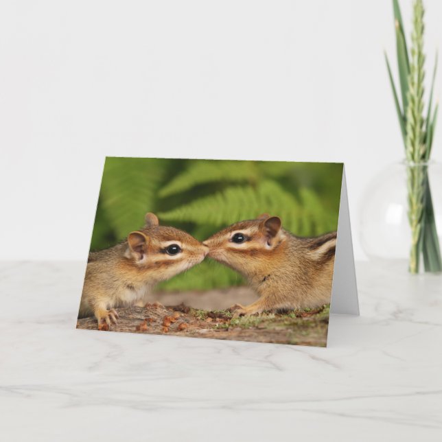 Kissing Baby Chipmunkcard Karte (Vorderseite)