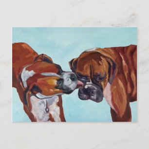 Kissing Boxer Hunde Postkarte