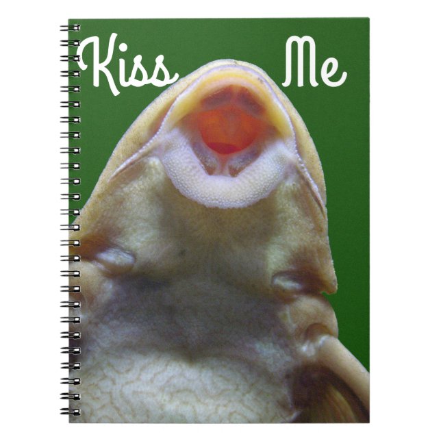 Kissing Fish Notizblock (Vorderseite)