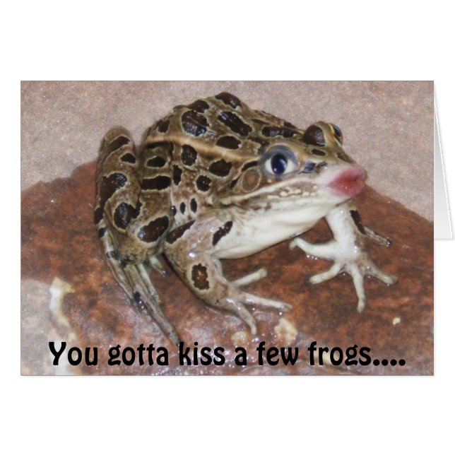 Kissing Frog Card (Vorderseite (Horizontal))