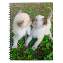 kissing kittens in clover notizblock