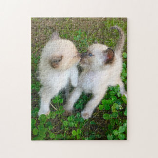 kissing kittens puzzle