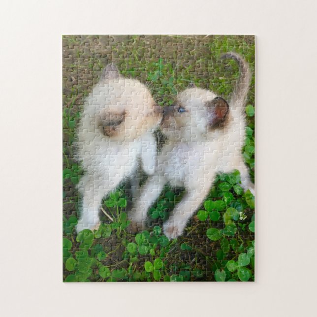 kissing kittens puzzle (Vertikal)