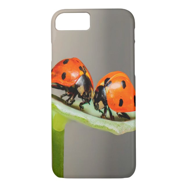 Kissing Ladybugs Case-Mate iPhone Hülle (Rückseite)