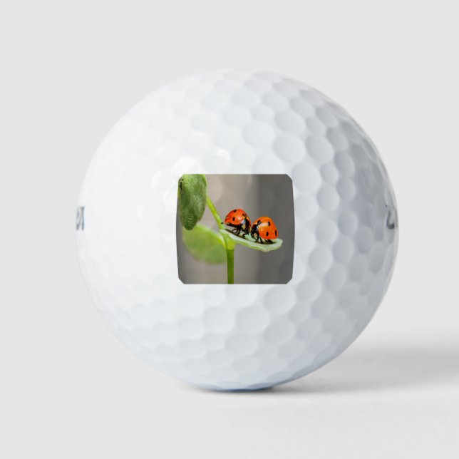 Kissing Ladybugs Golfball (Vorderseite)