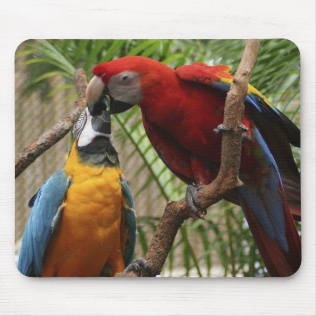 Kissing Macaws Mousepad (Vorne)