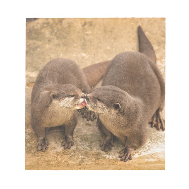 Kissing Otters Notizblock (Vorderseite)