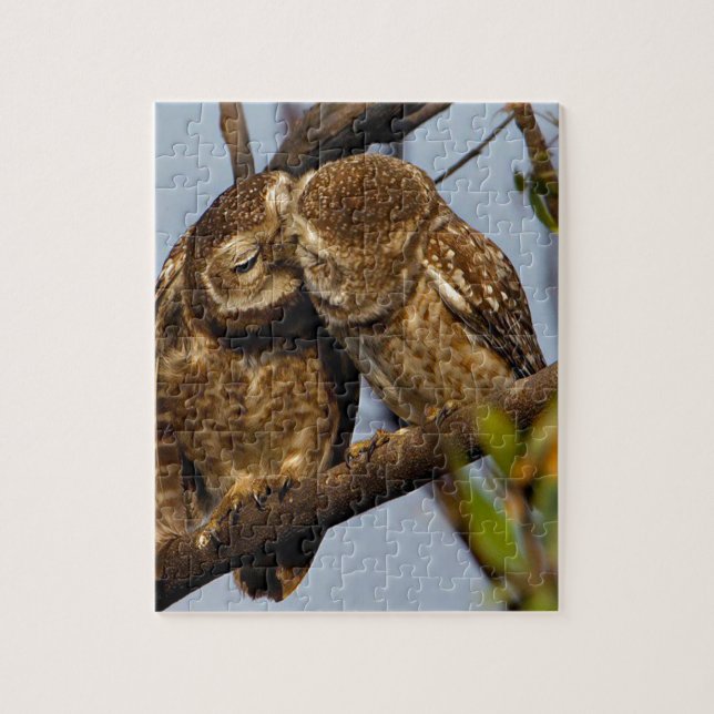 Kissing Owls Puzzle (Vertikal)
