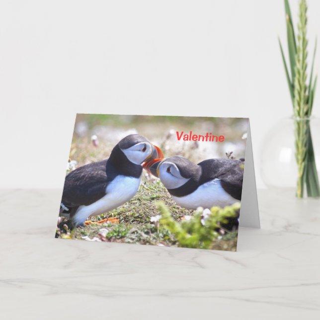Kissing Puffins Card - Valentine Feiertagskarte (Vorderseite)