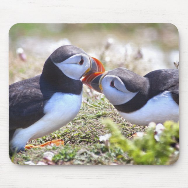 Kissing Puffins Mousemat Mousepad (Vorne)