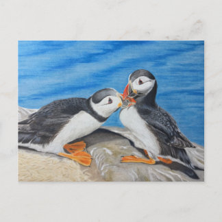 Kissing Puffins Postkarte