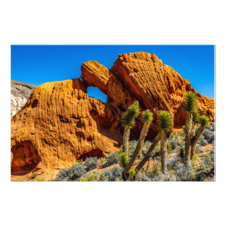 Kissing Turtle Rock Fotodruck