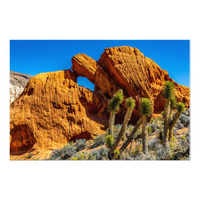 Kissing Turtle Rock Fotodruck (Vorne)