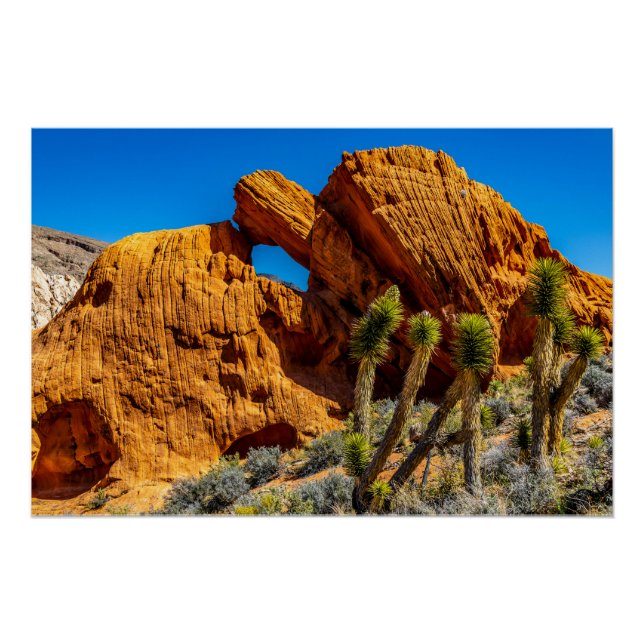 Kissing Turtle Rock Glossy Poster (Vorderseite)