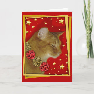 KissMouse 1 Feiertagskarte