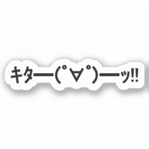 KITA! Emoticon キ ━ ━ (゜ ゜ タ) ━━━! Japanisch Kaomoj Aufkleber