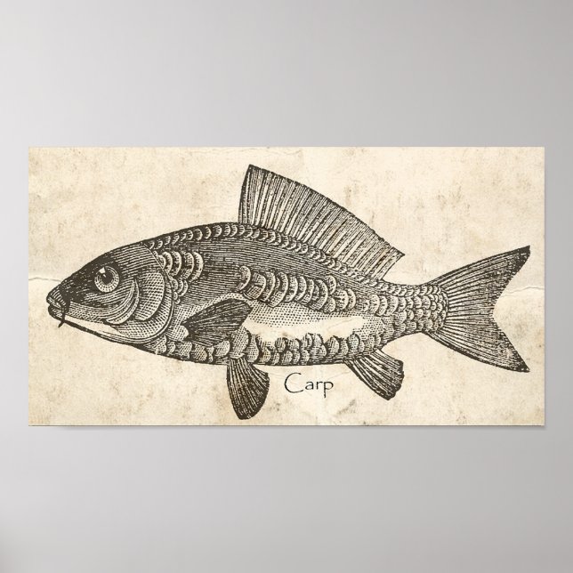 Kitchen Decke Wand Vintager Karpfen Koi Fisch Poster (Vorne)