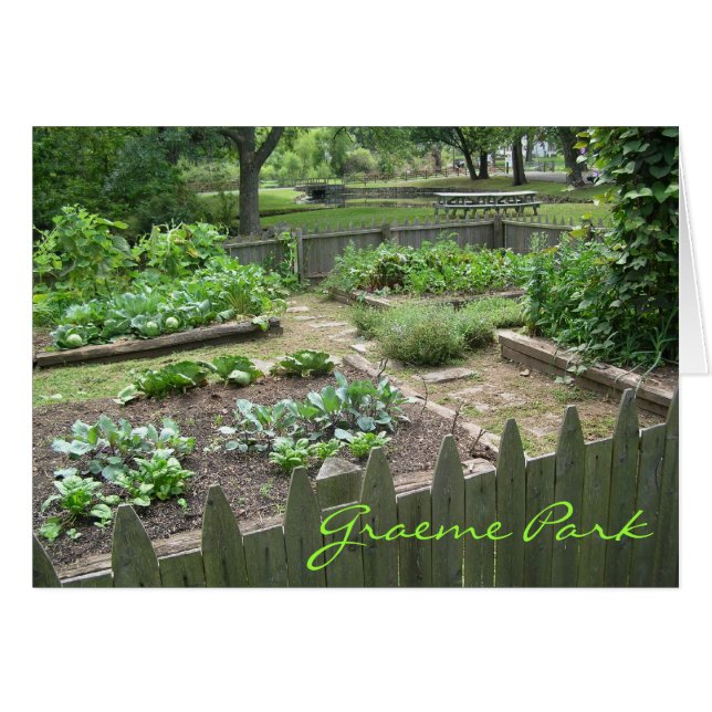 Kitchen Garden II (Vorderseite (Horizontal))