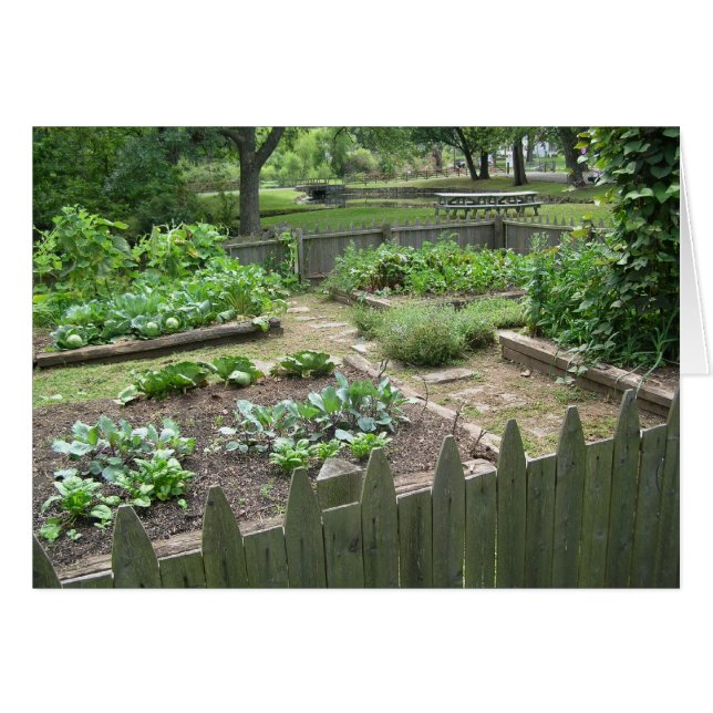 Kitchen Garden II (Vorderseite (Horizontal))