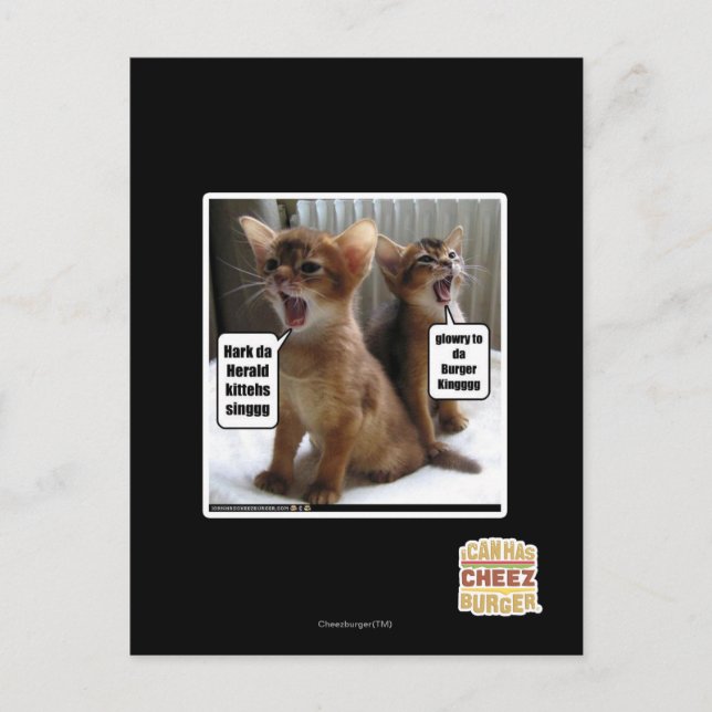 Kite-Carolen Postkarte (Vorderseite)