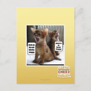 Kite-Carolen Postkarte