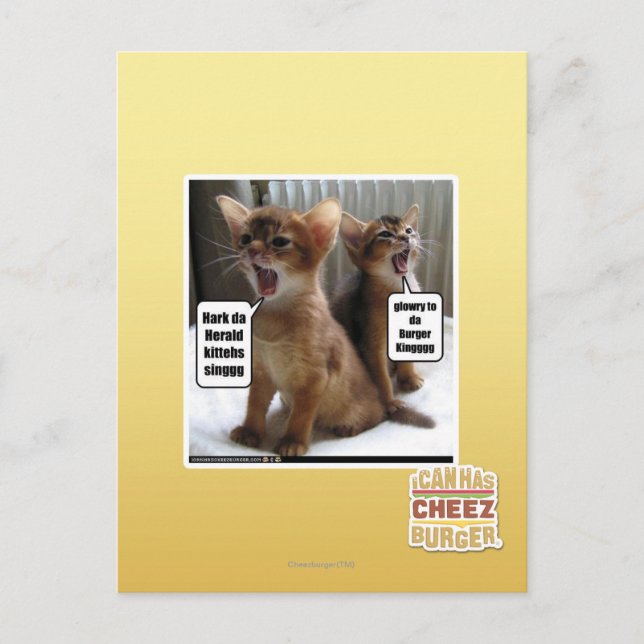 Kite-Carolen Postkarte (Vorderseite)