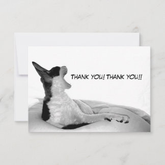 Kitsa Diva: Königin ihres Domans Dankeskarte