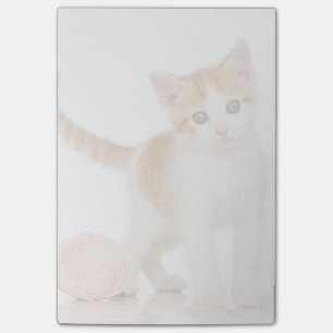 Kitte neben dem Ball Post-it Klebezettel