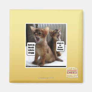 Kitteh Liede Magnet